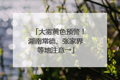 大雾黄色预警！湖南常德、张家界等地注意→